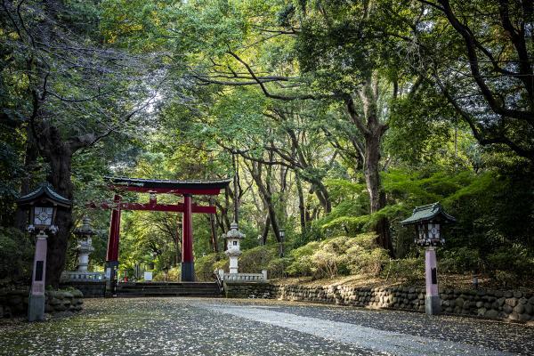 ジオガーデン杉並永福