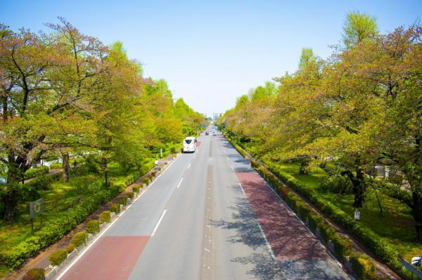 国立市中1丁目宅地分譲